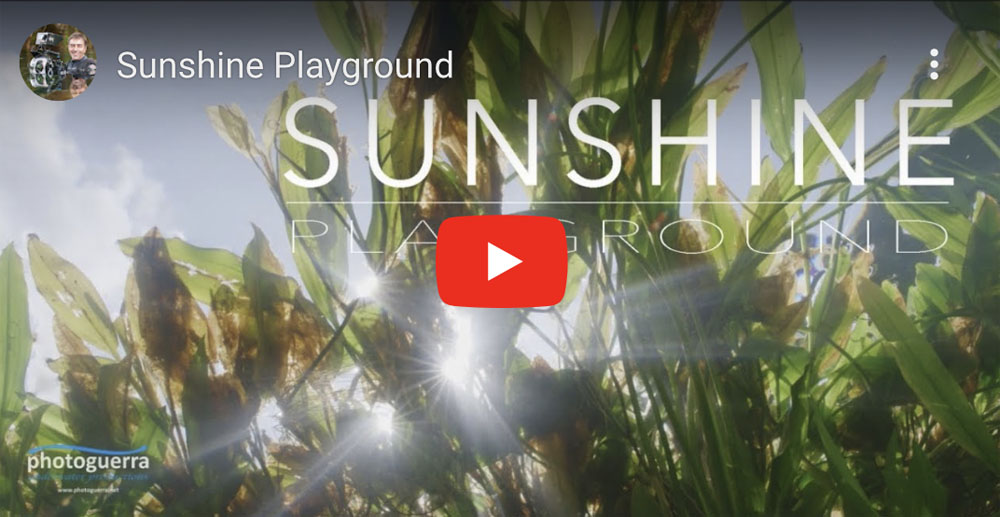 sunshine playground