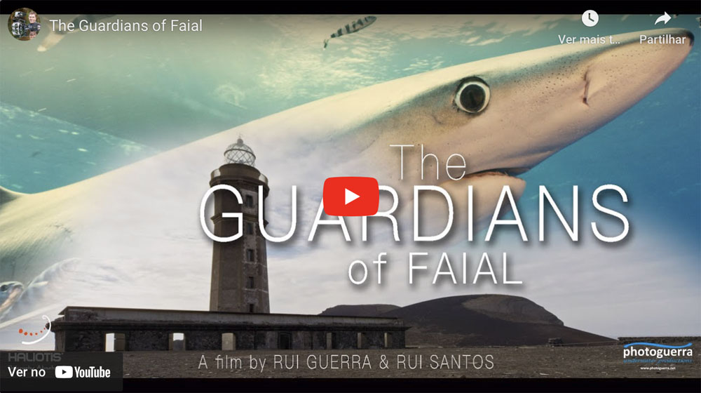 the guardians of faial