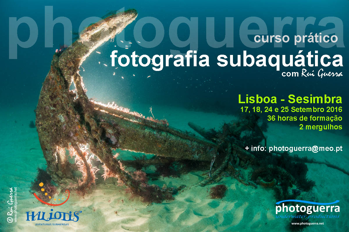 curso fotografia subaquática