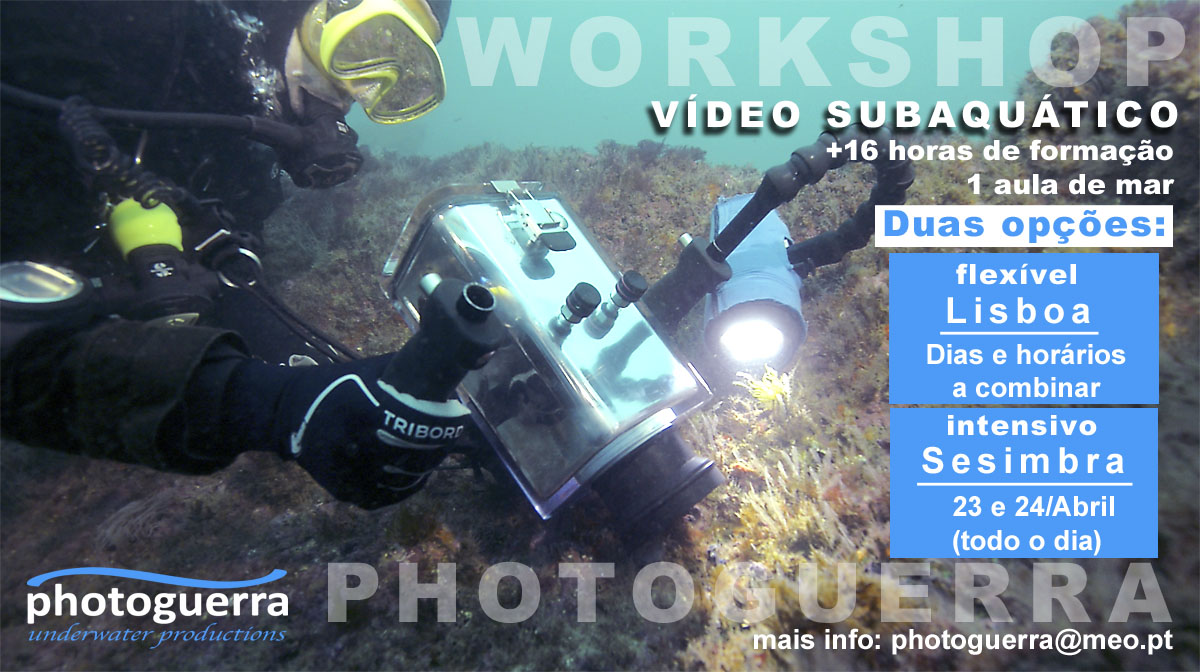 workshop underwater video